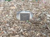 image of grave number 619098